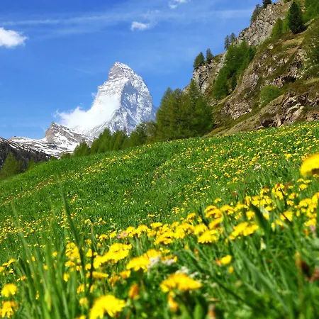 Lejlighed Blauherd By Interhome Zermatt